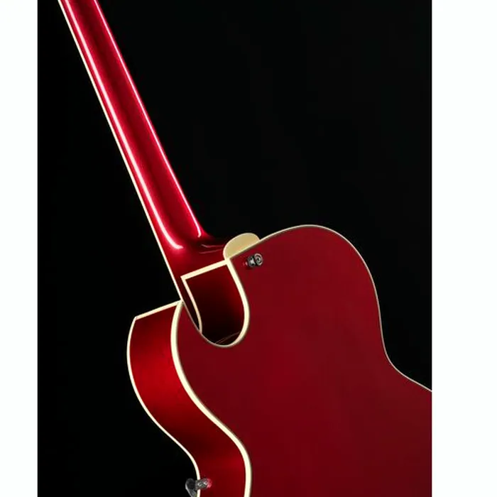 Stanford CR Fatboy CAR 95 Bigsby B60 – photo 11