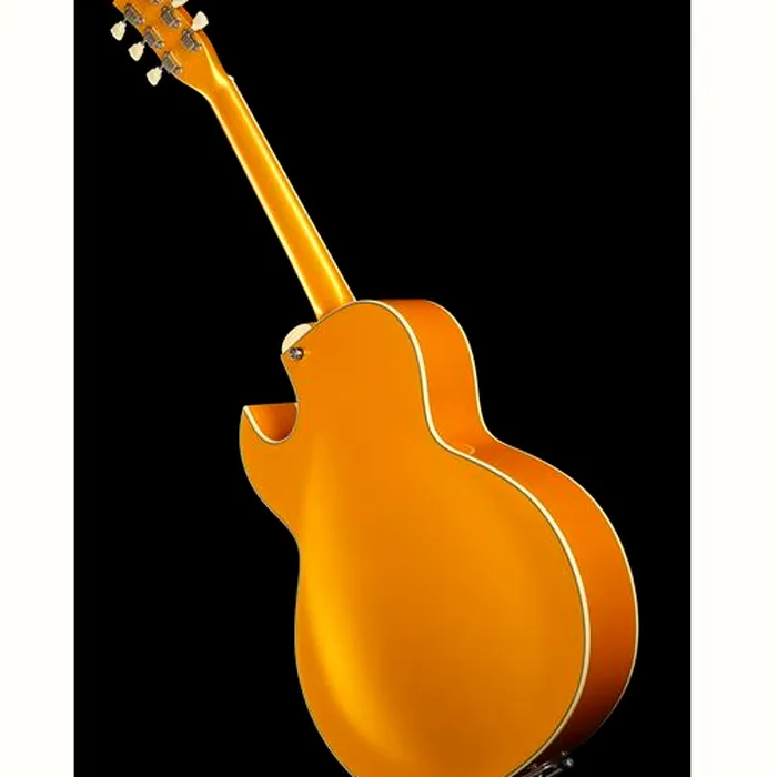 Stanford CR Fatboy GE 95 Bigsby B60 – photo 12