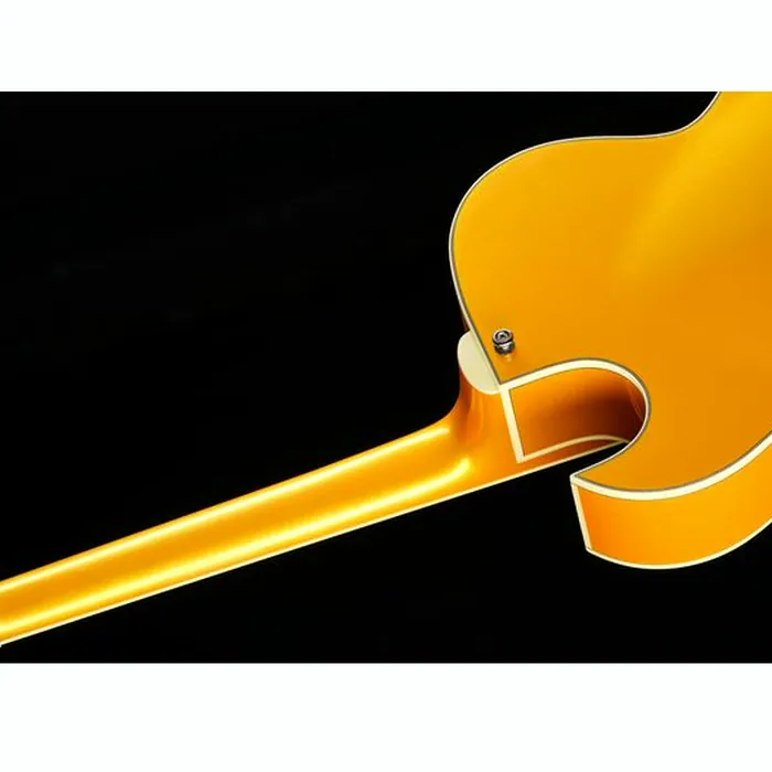 Stanford CR Fatboy GE 95 Bigsby B60 – photo 11