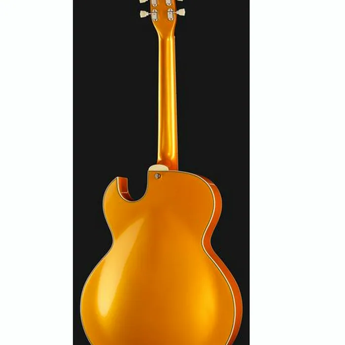 Stanford CR Fatboy GE 95 Bigsby B60 – photo 5