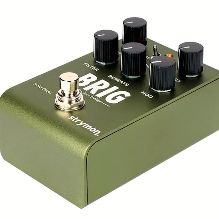 Strymon Brig Delay – photo 10