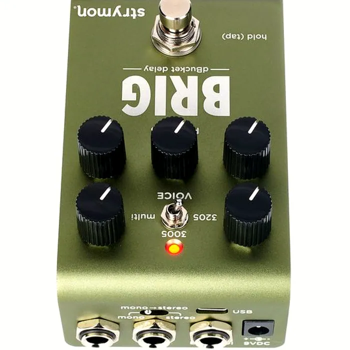 Strymon Brig Delay – photo 7