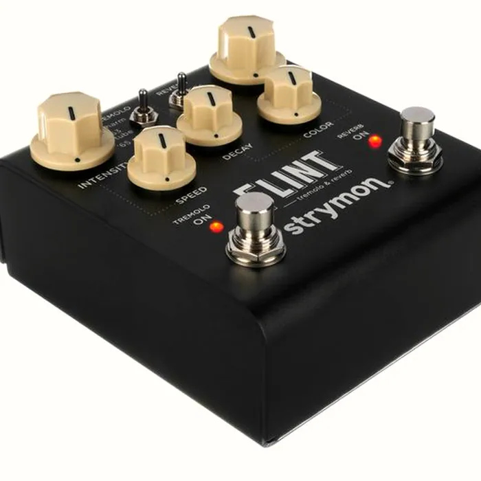 Strymon Flint V2 – photo 11