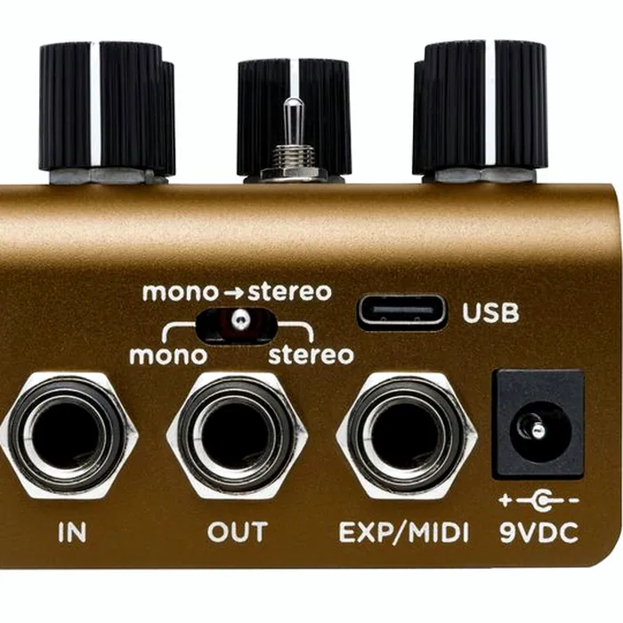 Strymon Olivera Delay – photo 4