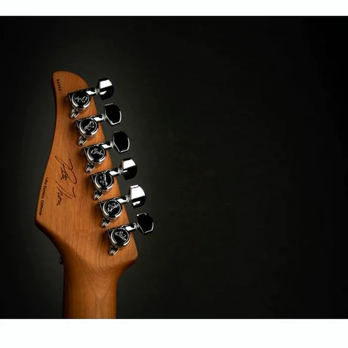 Suhr Pete Thorn Custom HSS Graphite – photo 6