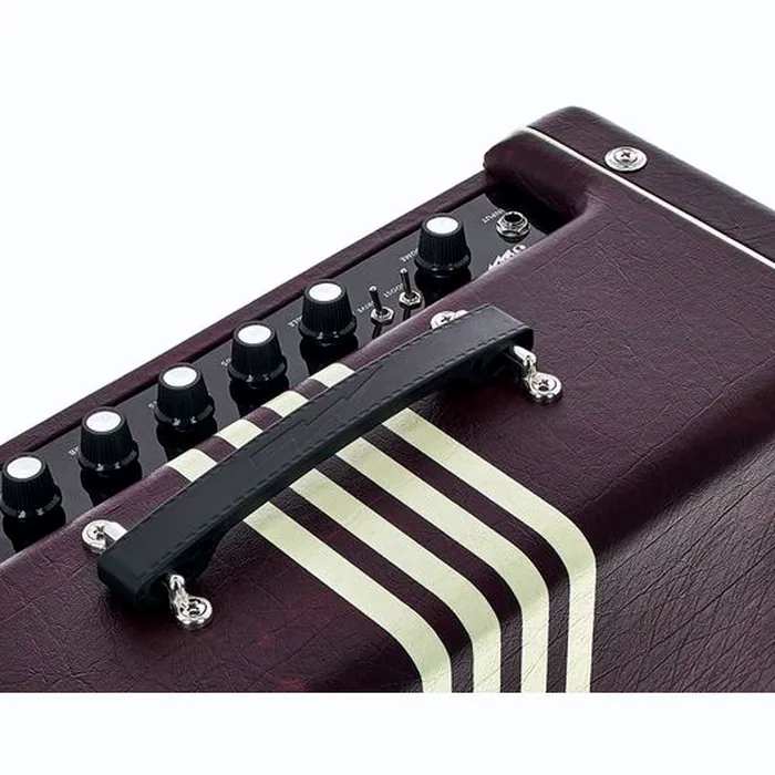 Supro 70th Anniv. Delta King 12 WB – photo 12
