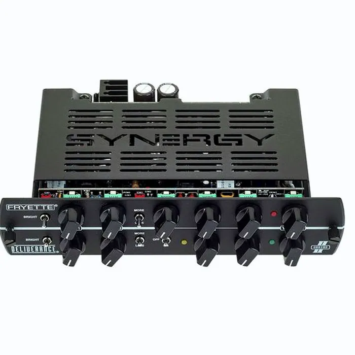 Synergy Fryette Deliverance – photo 5