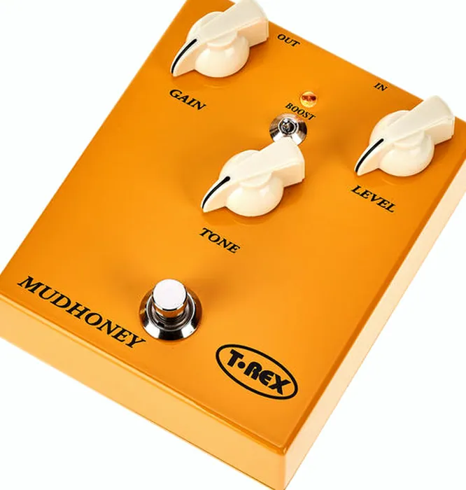 T-Rex Mudhoney