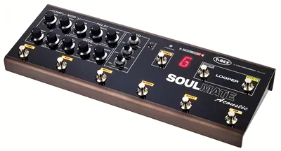 T-Rex Soulmate Acoustic B-Stock - Photos, Tests & Avis