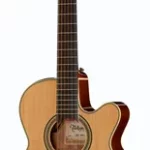 Guitare acoustique Takamine CNC-WS1 | Test, Avis & Comparatif