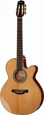 Takamine CNC-WS1