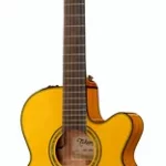 Guitare acoustique Takamine CNC-WS2 | Test, Avis & Comparatif