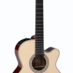 Guitare acoustique Takamine CNC-WS3 | Test, Avis & Comparatif
