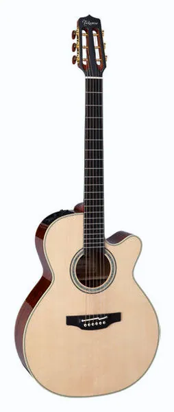 Takamine CNC-WS3