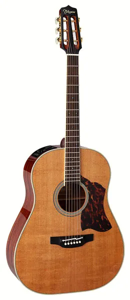 Takamine CRN-TS1