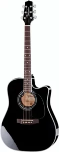 Takamine EF341SC