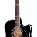 Guitare acoustique Takamine EF341SC | Test, Avis & Comparatif