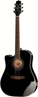 Takamine EF341SC-LH