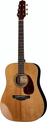 Takamine EF360STT