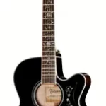 Guitare acoustique Takamine EF450C-TT TBB | Test, Avis & Comparatif