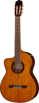 Takamine GC5CE-N-LH