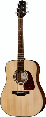 Takamine GD10-N-2 B-Stock