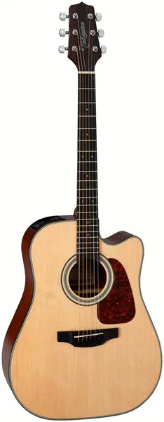 Takamine GD10CE-N