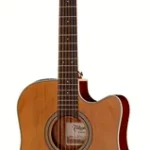 Guitare acoustique Takamine GD20CE-N | Test, Avis & Comparatif