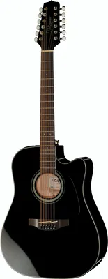 Takamine GD30CE-12B