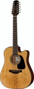 Takamine GD30CE-12N