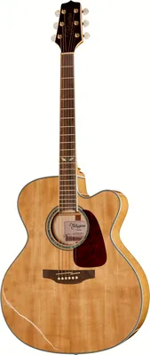 Takamine GJ72CE-NAT