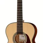 Guitare acoustique Takamine GN10-N | Test, Avis & Comparatif