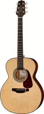 Takamine GN10-N