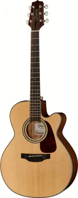 Takamine GN10CE N