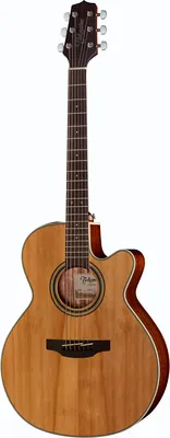 Takamine GN20CE-N