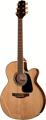 Takamine GN51CE-NAT