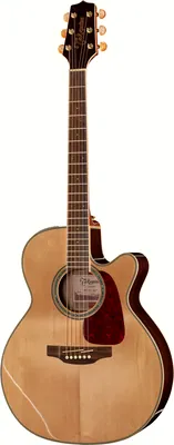 Takamine GN71CE-2 NAT B-Stock