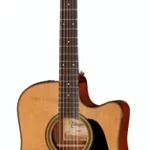 Guitare acoustique Takamine P1DC | Test, Avis & Comparatif