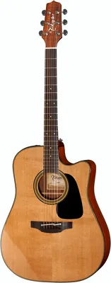 Takamine P1DC