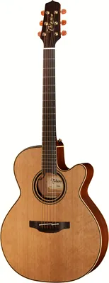 Takamine P3NC Pro Serie