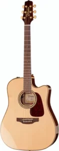 Takamine P5DC