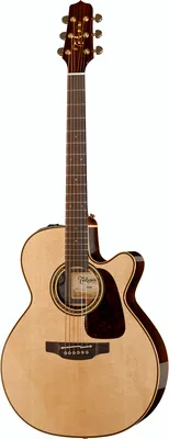 Takamine P5NC