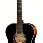 Guitare acoustique Takamine P6N-BSB | Test, Avis & Comparatif