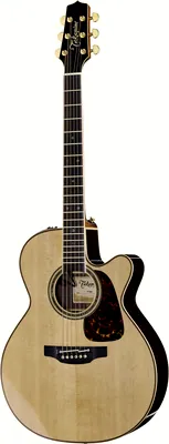 Takamine P7NC