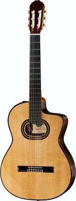 Takamine TH90
