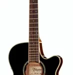 Guitare acoustique Takamine TSP138CTBS Thinline | Test, Avis & Comparatif