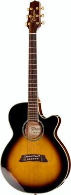 Takamine TSP138CTBS Thinline