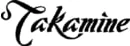 Takamine GD11MCENS