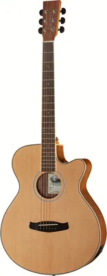 Tanglewood DBT SFCE BW