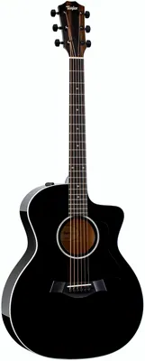 Taylor 214ce-BLK DLX